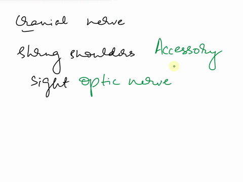 5-predict-the-cranial-nerves-that-might-be-damaged-if-someone-could-not-a-shrug-the-shoulders-bsee-c-move-the-zygomaticus-muscle-d-maintain-equilibrium-e-raise-the-eyebrows-f-track-objects-w-24623