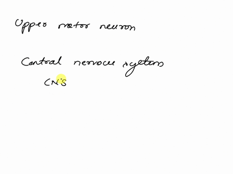 motor-nucle-of-cranial-nerves-to-skeletal-muscles-motor-nuclei-of-cranial-nerves-3-pyramids-figure-15-2-the-corticospinal-pathway-use-figure-15-2-to-answer-the-following-questions-identify-t-39737