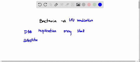 exposing-bacteria-to-uv-light-results-in-the-following-except-may-cause-deletions-and-insertions-in-their-dna-forms-thymine-dimers-in-their-dna-disruptsstops-translation-in-the-bacteria-may-33492