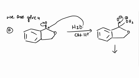 predict-the-major-products-and-draw-a-step-by-step-mechanism-for-each-of-the-following-reactions-hzo-cat-hzo-cal-ht-92198