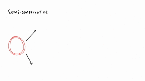 e-coli-have-a-single-circular-chromosome-if-you-grow-e-coli-in-the-presence-of-radioactivelylabelled-nucleotides-these-will-be-incorporated-into-their-chromosomal-dna-during-dnasynthesis-say-82413