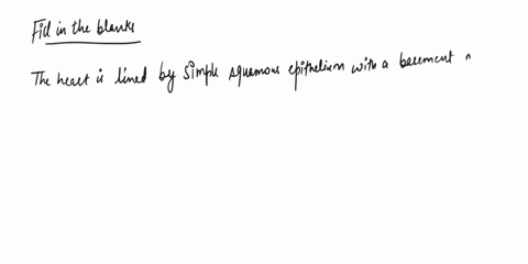 3-vesseke-bio-169-lab-acmvity-overvicw-of-the-heart-and-vessels-fi-ine-stalement-blanks-with-the-ordlierm-that-bet-complctct-the-heart-is-ilned-unp-squamou-raithcliumn-with-j-baserent-membrn-21463