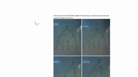 which-structure-for-the-second-syllable-of-distressing-is-correct-all-consonants-and-vowels-are-written-as-c-and-vd-d-sigma-which-structure-for-the-second-syllable-ofdistressingis-correctall-03348