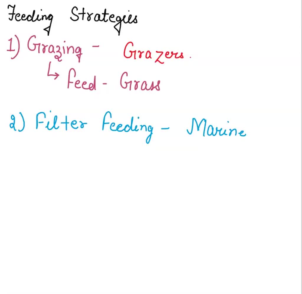 SOLVED: Define the 4 types of feeding strategies that animals use. Give an  example of an animal that uses each strategy.