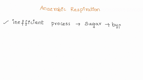 to-what-do-you-attribute-the-odors-of-anaerobic-respiration-04896