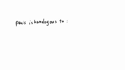 the-penis-is-homologous-to-the-vagina-clitoris-testes-ovaries