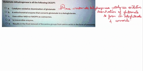 glutamate-dehydrogenase-is-all-the-following-except-catalyzes-oxidative-deamination-of-glutamate-amitochondrial-enzyme-that-converts-glutamate-to-a-ketoglutarate-uses-either-nadtor-nadph-as-50352