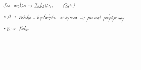 a-sea-urchin-egg-is-treated-with-an-inhibitor-that-prevents-the-rise-in-intracellular-ca2-right-before-fertilization-which-of-the-following-events-would-be-blocked-by-addition-of-this-inhibi-56595