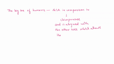 in-some-cases-our-bipedal-adaptations-have-changed-areas-of-our-bodies-so-much-that-it-is-difficult-if-not-impossible-for-these-areas-to-perform-other-functions-for-example-our-pelvis-provid-01294