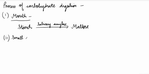 briefly-describe-the-steps-involved-in-the-digestion-of-carbohydrates-63964