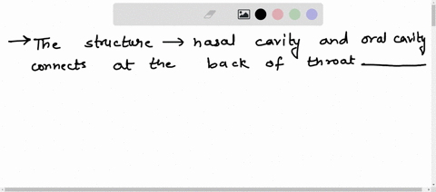 1the-structure-where-the-nasal-cavity-and-oral-cavity-connect-at-the-back-of-the-throat-is-called-the-___________-answer-must-be-spelled-correctly2it-is-normal-for-food-to-pass-down-the-trac-45033