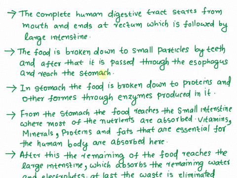 where-does-chemical-digestion-of-food-and-absorption-of-nutrients-occur-in-the-human-digestive-tractplease-answer-09174