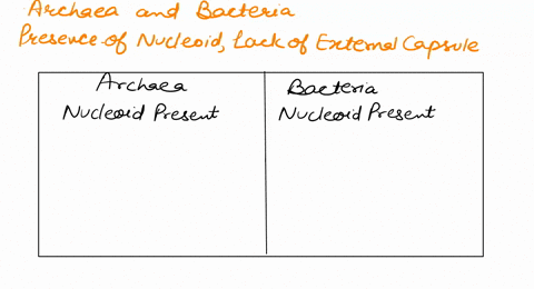 what-distinguishes-archaea-from-bacteria-select-all-that-apply-a-presence-of-a-nucleoid-b-lack-of-an-external-capsule-c-membrane-enclosed-organelles-d-cell-wall-composition-25385