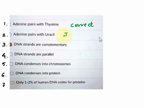please-select-the-right-properties-of-dna-adeninc-pairs-with-thymine-adenine-pairs-with-uracil-dna-strands-are-complementary-dna-strands-are-parallel-dna-condenses-into-chromosomes-dna-conde-43668