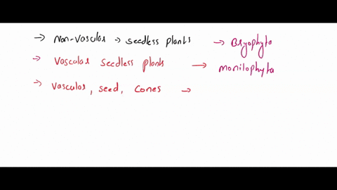 match-the-major-characteristics-with-phyla-or-class-of-plants-these-non-vascular-seedless-plants-a-bryophyta-mosses-have-a-dominant-and-photosynthetic-b-monocots-gametophytehaploid-life-cycl-48466