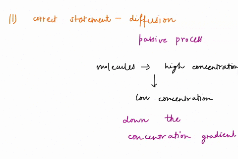 which-of-the-following-statements-is-correct-about-diffusion-a-it-may-require-a-transport-protein-b-it-is-a-passive-process-in-which-molecules-move-from-a-region-of-higher-concentration-to-a-82237