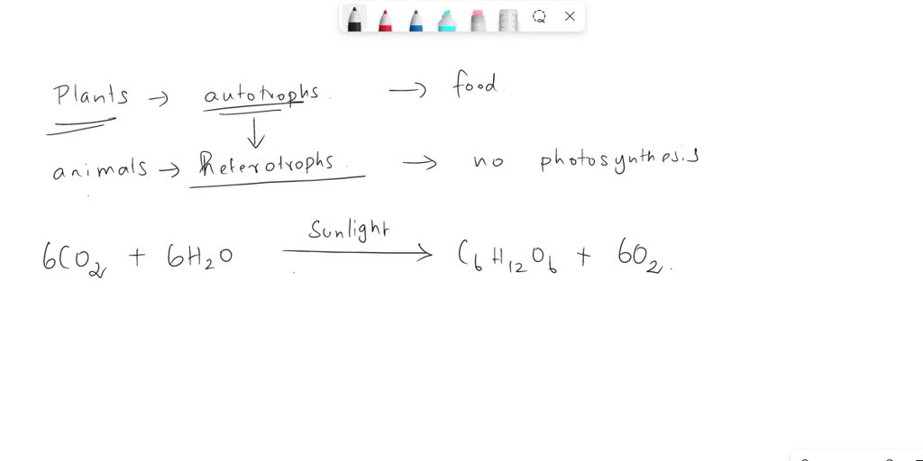 SOLVED: Photosynthesis is used to produce food for plants. Plants are called  autotrophs because they produce their own food. Animals are heterotrophs,  meaning they eat their food. What do plants produce in