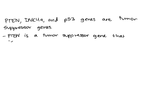 which-of-the-following-is-a-tumor-suppressor-gene-or-the-product-of-a-tumor-suppressor-gene-select-all-answers-that-apply-a-raf-b-her2-receptor-cpten-d-ink4a-e-p53-83283
