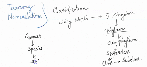 hcaroiclsysten-bological-classilication-established-by-unnacus-and-still-in-usc-fadjy-the-crder-0f-caterories-tom-least-mdst-speclalzed-mnost-least-speciallzed-species-kenus-family-order-cla-73467