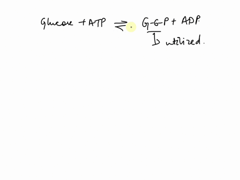 the-reaction-glucose-atp-glucose-6-phosphate-adp-is-in-equilibrium-when-glucose-6-phosphate-is-used-in-a-different-pathway-describe-what-is-going-to-happen-to-the-reaction-67908