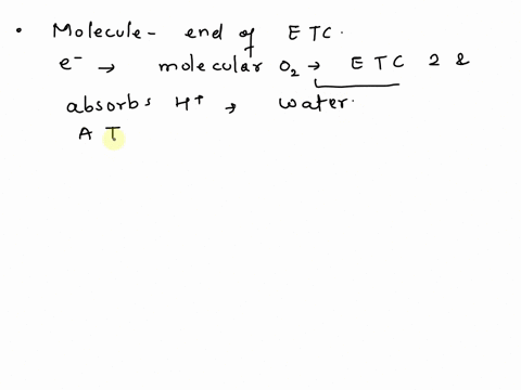 what-molecule-is-produced-at-the-end-of-the-electron-transport-chain-a-fadh2-b-atp-c-h2o-d-nadh-f-co2-b-below-which-process-of-cellular-respiration-produces-nadh-select-all-that-apply-a-kreb-74385