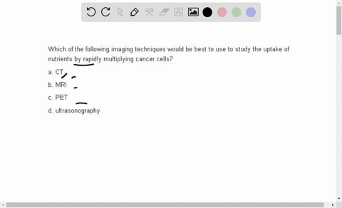 which-of-the-following-imaging-techniques-would-be-best-to-use-to-study-the-uptake-of-nutrients-by-r-34985