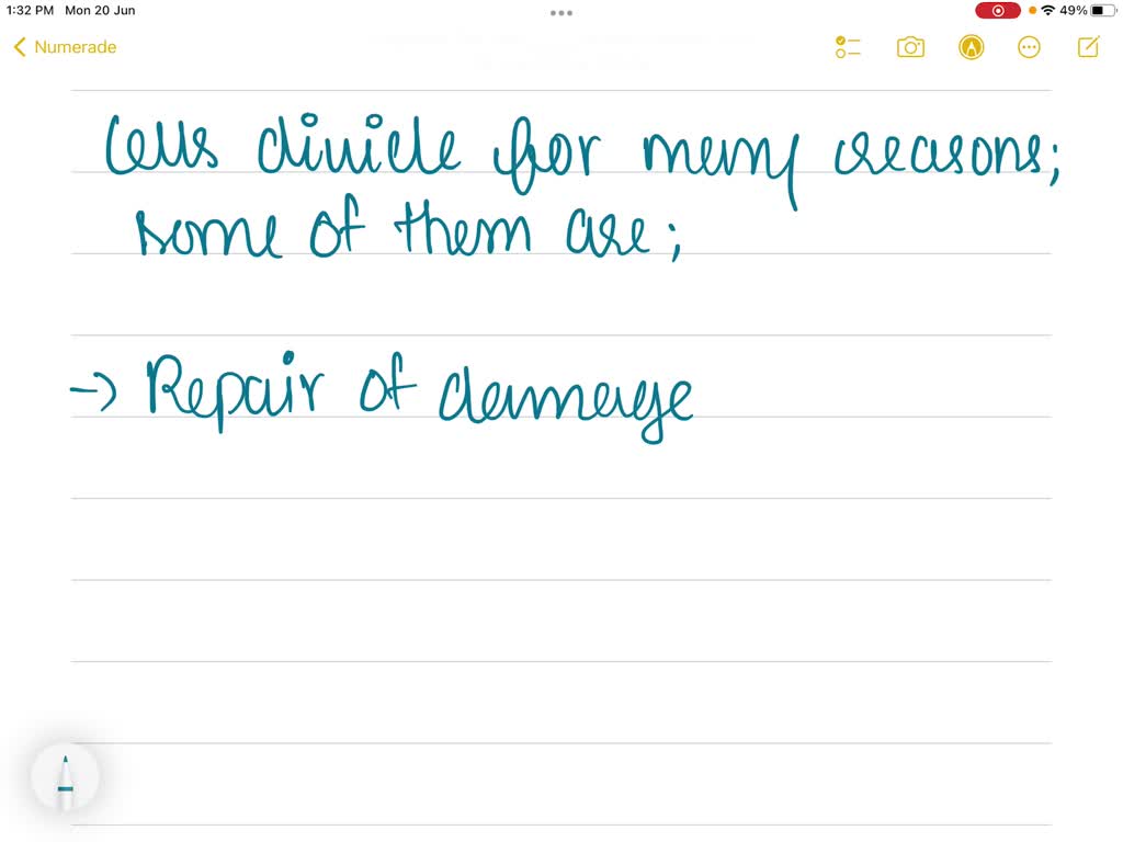 SOLVED Which are reasons cells undergo cell division?