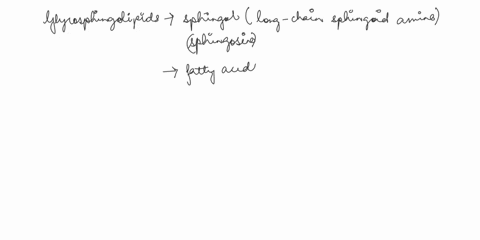 glycospingolipids-are-lipids-composed-of-1-a-long-chain-alcohol-and-a-fatty-acid-2-glycerol-and-fatty-acids-3-glycerol-fatty-acids-phosphate-and-an-amino-alcohol-sphingosine-fatty-acids-phos-93946