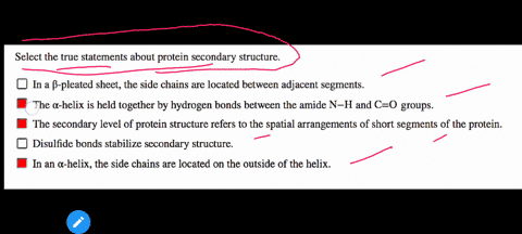 select-the-true-statements-about-protein-secondary-structure-in-a-b-pleated-sheet-the-side-chains-are-located-between-adjacent-segments_-the-a-helix-is-held-together-by-hydrogen-bonds-betwee-87324