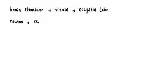 the-brain-structure-that-is-responsible-for-processing-visual-information-is-the-_______-midbrain-frontal-lobe-occipital-lobe-temporal-lobe-parietal-lobe-hindbrain-a-neuron-is-a-mass-of-cell-47207