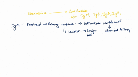 match-the-antibody-class-isotype-with-its-description-each-class-is-used-only-once-the-first-antibody-produced-in-response-to-an-antigen-typically-pentamer-most-abundant-antibody-class-chqos-27384