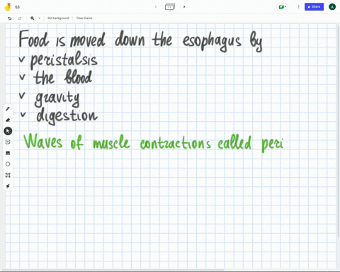 food-is-moved-down-the-esophagus-by-peristalsis-the-blood-gravity-igestion