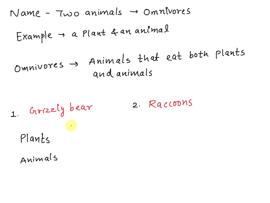 SOLVED: Name two animals that are omnivores. Give an example of a plant and  an animal that each one might eat.