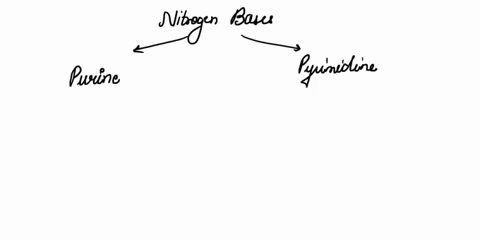 help-last-edil_kas-made-4-minules-agoby-m-patk-l-a-o-5-queslion-iexl-if-the-dna-sequence-that-will-serve-a8-template-during-transcription-has-the-following-sequence-what-will-the-sequence-of-39565