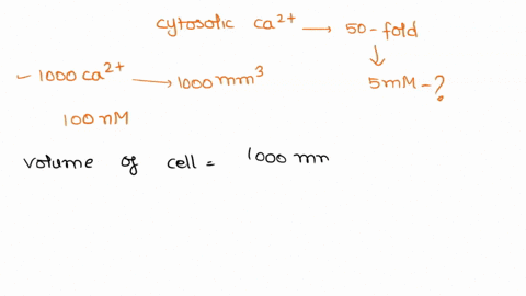 cytosolic-ca2-concentrations-typically-rise-about-50-fold-when-ca2-channels-open-in-the-plasma-membrane-assume-that-1000-ca2-channels-open-in-a-cell-with-a-volume-of-1000-mm3-and-an-internal-84893