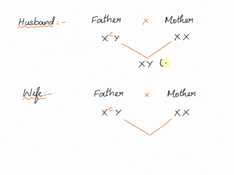 19-a-husband-and-wife-have-normal-vision-although-both-of-their-fathers-are-red-green-color-blind-which-is-inherited-an-an-x-linked-recessive-condition-what-is-the-probability-that-their-fir-31251