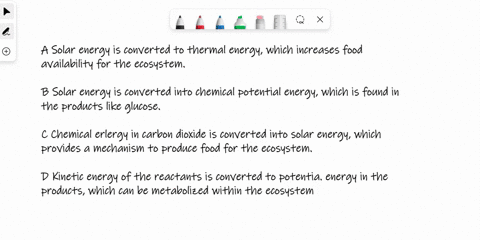 photosynthesis-is-a-process-that-can-be-performed-by-many-autotrophic-organisms-within-the-ecosystem-without-photosynthetic-organisms-the-food-chain-would-not-be-able-to-sustain-the-energeti-06675
