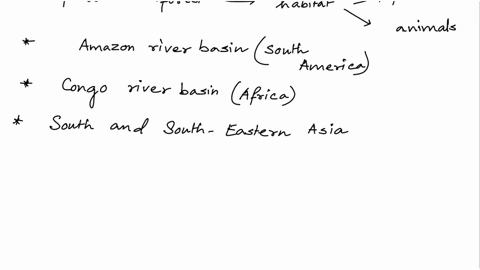tropical-rainforest-biome-describe-this-biome-by-identifying-where-the-biome-is-located-in-the-world-latitude-and-area-names-the-types-of-fauna-common-to-this-region-the-types-of-flora-commo-19295