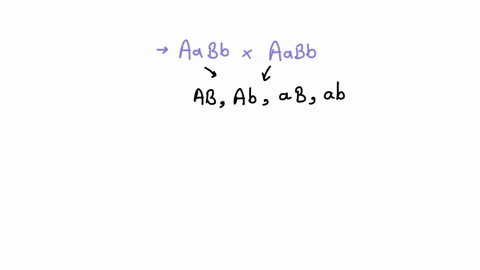 imagine-a-dihybrid-cross-if-there-are-80-progeny-we-are-talking-about-snails-here-approximately-how-many-snails-would-you-expect-to-be-homozygous-recessive-for-both-traits-41175