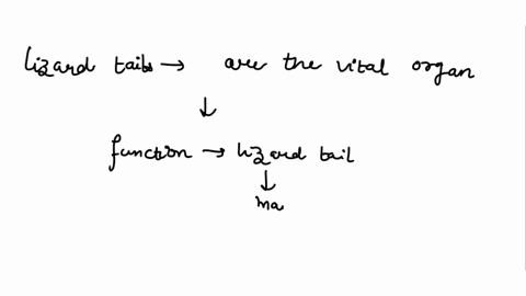 question-2-they-are-mainly-used-in-serve-many-important-functions_-the-tails-of-animals-can-fragile-detachable-tail-that-will-balance-and-locomotion-many-lizards-have-allowing-them-to-escape-39163