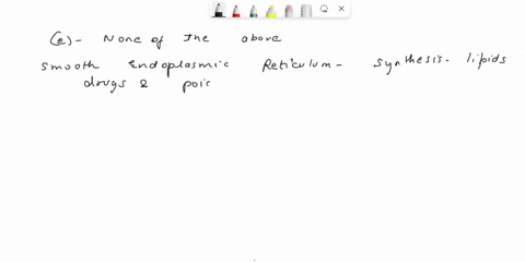 3-what-is-the-function-of-the-smooth-endoplasmic-reticulum-a-synthesis-lipids-proteins-b-synthesis-proteins-c-synthesis-both-lipids-carbohydrates-d-synthesis-both-carbohydrates-proteins-e-no-87116