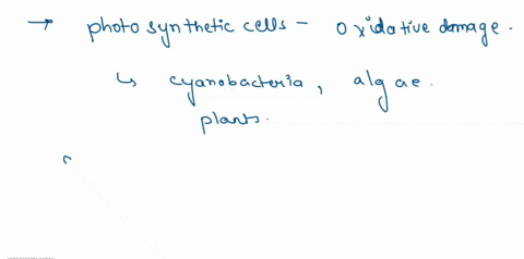 the-electrons-lost-during-the-oxidation-of-p700-to-p700-replaced-by-electrons-trom-nadph-dkvgen-the-calvin-cycle-photosystem-ii-carbon-dioxide-43129