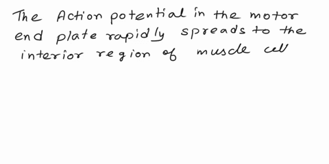 nan-potertal-in-the-motor-end-plate-rapidly-spreads-to-the-nteror-reglons-of-amuscle-cell-bymeath-milple-choice-hzone-transverse-tubules-sorcoplosmic-reticulum-pores-in-the-plasma-membrane-78526