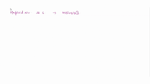 during-oogenesis-in-an-animal-species-with-a-haploid-number-of-6-one-dyad-undergoes-nondisjunction-2-64924