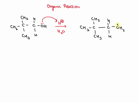 2-acid-catalyzed-dehydration-of-neopentyl-alcohol-chcchoh-y-yields-2-methyl-2-butene-as-the-major-product-outline-a-mechanism-showing-all-steps-in-its-formation-23464