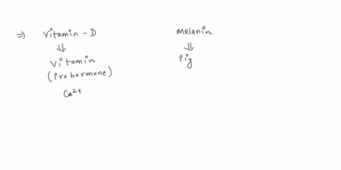 1-describe-the-relationship-between-vitamin-d-and-melanin-production-in-the-skin-how-is-each-formed-and-how-does-teh-formation-of-one-affect-the-function-of-the-other-37482