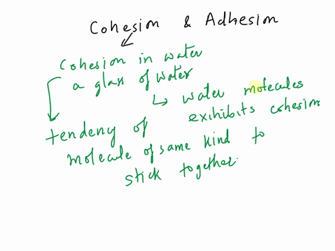 describe-an-example-of-cohesion-or-adhesion-that-you-might-observe-during-your-daily-life-71472