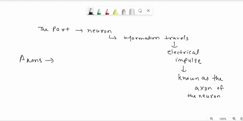 the-structures-of-a-neuron-that-function-mainly-in-receiving-signals-from-other-neurons-are-the-a-2-23216