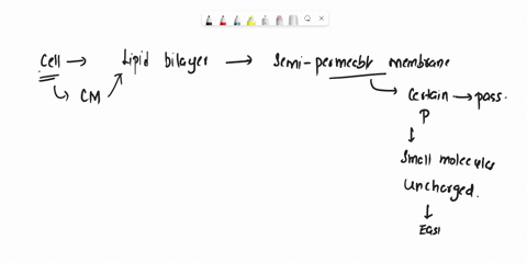 help-please-during-the-process-of-diffusion-what-happens-inside-the-cell-dok-1-a-cells-surround-and-absorb-large-particles-b-a-cell-surrounds-and-gets-rid-of-large-particles-o-c-particles-mo-92504