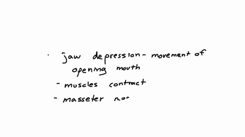 which-of-the-following-muscles-help-with-the-jaw-depression-a-masseter-b-temporalis-c-mylohyoid-d-medial-pterygoid